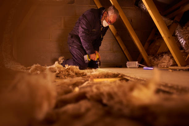 Best DIY Insulation Kits and Guidance in Lynchburg, TN